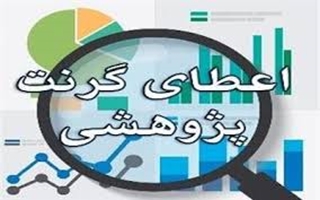  گرنت پژوهشگر برتر 